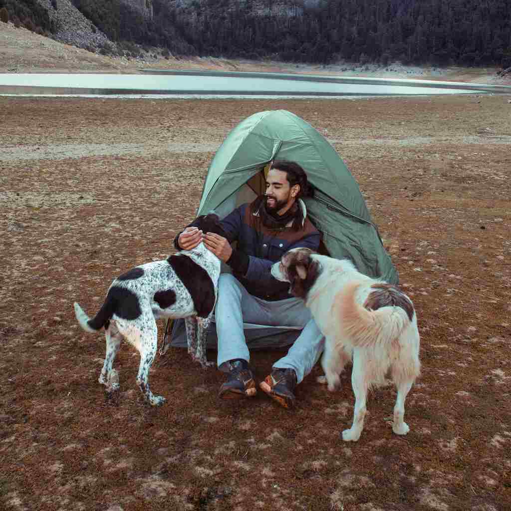 pet protection products for camping make everyones life easier and cleaner!