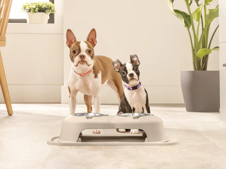 Double High Pet Feeding System - WeatherTech CH
