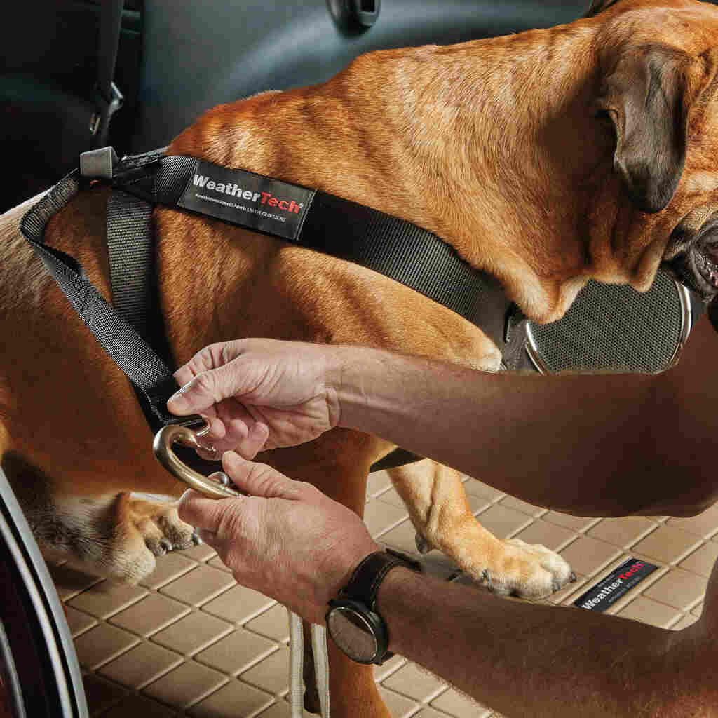 Pet Safety Harness - WeatherTech CH